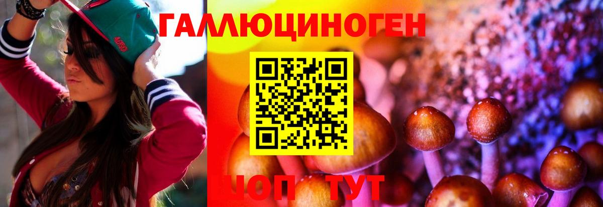 Псилоцибиновые грибы Cubensis  Псилоцибиновые грибы ЛСД  Вход с VPN  Сатка 